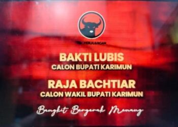 Bakti Lubis