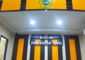 Disduk capil