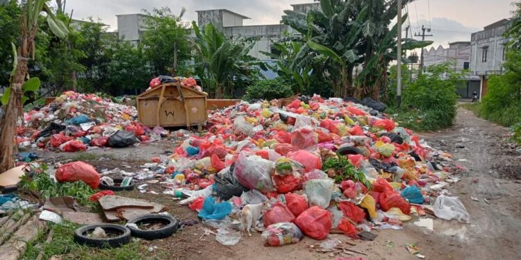 2 Dari 10 Armada Pengangkut Sampah Rusak Jadi Penyebab Terciptanya Gunung Sampah di Karimun