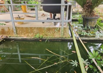 Kasus DBD Meningkat, Dinkes Karimun Minta Masyarakat Jaga Kebersihan Lingkungan
