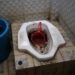 Viral Video Toilet Pantai Piwang Kotor, Gibran Center DPD II Natuna Siap Gotong Royong