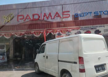 Padi mas
