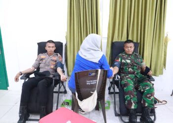Gelar Donor Darah