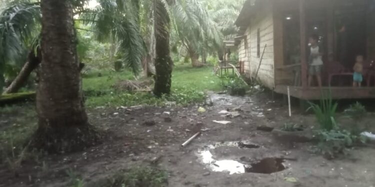 Warga Desa Tran Nelayan Mulai Bersih Lingkungan Rumah Usai Dilanda Banjir