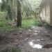 Warga Desa Tran Nelayan Mulai Bersih Lingkungan Rumah Usai Dilanda Banjir