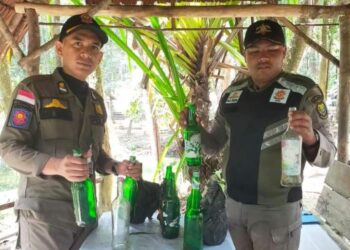 Satpol-PP Damkar Lingga Lakukan Pengawasan di Fasum