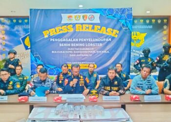 Bea Cukai Kepri Kembali Gagalkan Penyelundup Benih Bening Lobster Senilai Rp19,2 Milyar