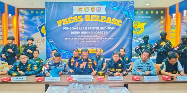 Bea Cukai Kepri Kembali Gagalkan Penyelundup Benih Bening Lobster Senilai Rp19,2 Milyar
