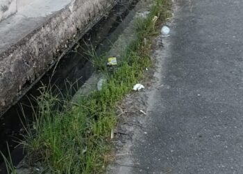 Warga BRR Pulo Sarok Singkil Minta Dinkes Gerak Cepat Cegah Demam Berdarah Dengan Fogging