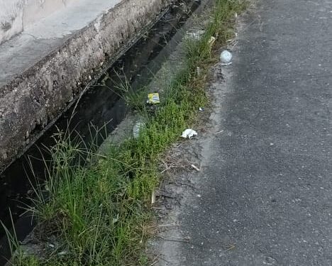 Warga BRR Pulo Sarok Singkil Minta Dinkes Gerak Cepat Cegah Demam Berdarah Dengan Fogging