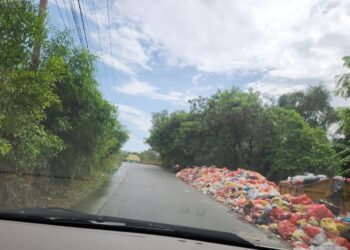 Dampak sampah