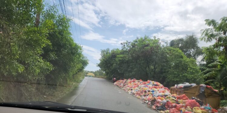 Dampak sampah