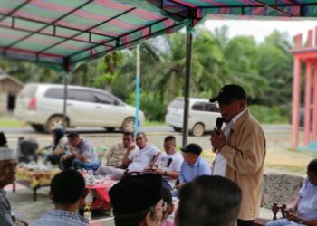 Program Padi
