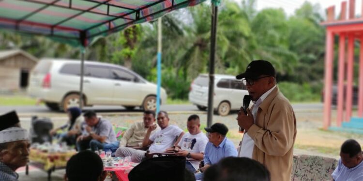 Program Padi