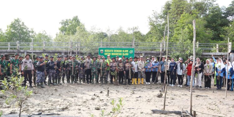 Penanaman Mangrove