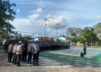 Pe gamanan pilkada
