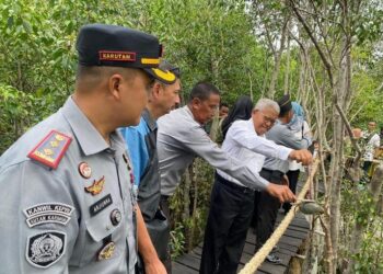 Rutan Karimun Budidaya Kepiting Bakau di Hutan Mangrove