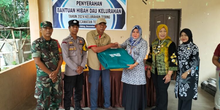 Lurah Tebing Mardiana Serahkan Hibah Sarpras Kepada RW dan Posyandu