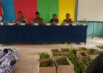 Ketahanan pangan