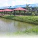Kolam Ikan