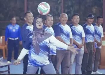 Volly
