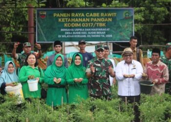 Kodim 0317/TBK Panen Raya Cabe Rawit di Desa Sugie