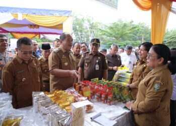 Bupati dan Wakil Bupati Asahan Ikut Menyerahkan SPPT PBB-P2 Tahun 2025