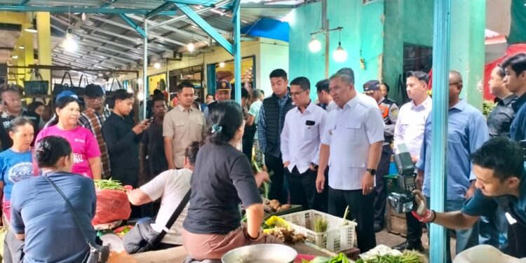 Jelang Hari Raya Idul Fitri 1446 H, Wagub Nyanyang Kunjungi Pelabuhan dan Pasar di Karimun