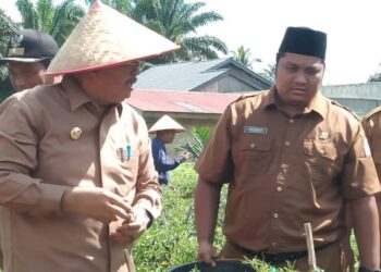 Ketahanan pangan
