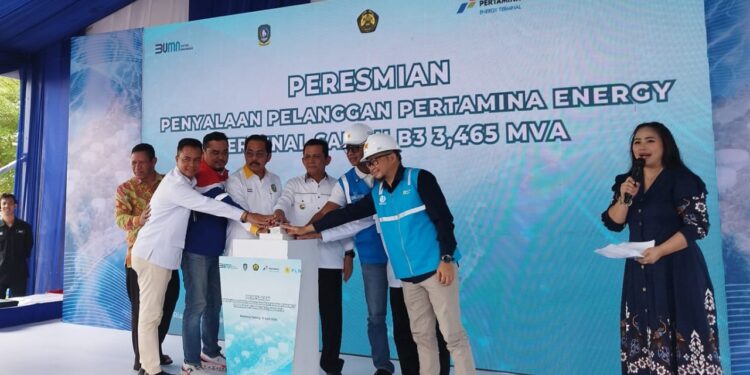 Pln