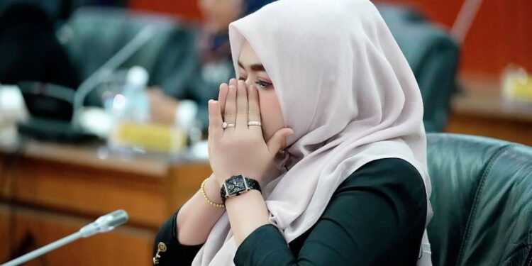 Martini Minta Gubernur Aceh Rebut Kembali Pulau yang Dicaplok Sumut
