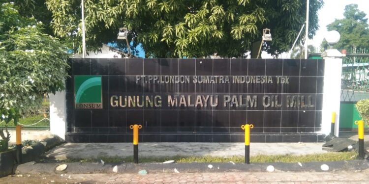 14 Karyawan di PHK Sepihak, Manager PKS PT. Lonsum Gunung Melayu Bungkam