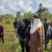 Bupati Natuna Instruksikan Dinas Ketahanan Pangan Loby Provinsi dan Kementrian Bantu Petani Natuna
