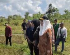 Bupati Natuna Instruksikan Dinas Ketahanan Pangan Loby Provinsi dan Kementrian Bantu Petani Natuna