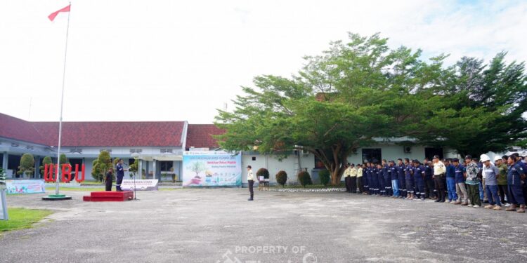 Ini yang Dilakukan PT Timah Peringati Hari Lingkungan Hidup Sedunia Tahun 2025
