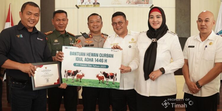 Masyarakat Bangka Selatan Terima 30 Hewan Kurban dari PT Timah Tbk