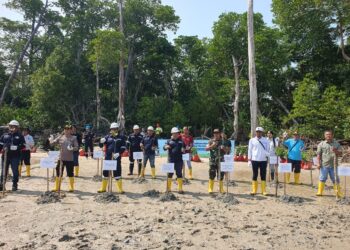 Peringati Hari Lingkungan Hidup Sedunia, PT Timah Tanam 5000 Pohon Mangrove