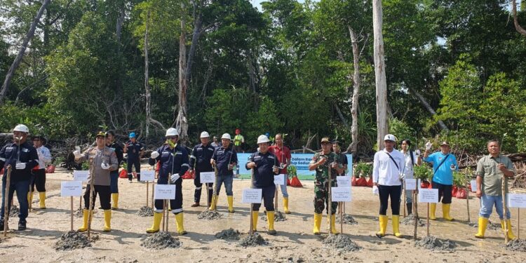 Peringati Hari Lingkungan Hidup Sedunia, PT Timah Tanam 5000 Pohon Mangrove