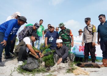 Lestarikan Lingkungan dan Pariwisata Berkelanjutan PT Timah Tanam Pohon Peneduh di Kawasan Wisata Batu Tunggal