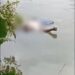 Hari Ketiga, Mayat Surya Pebrian Ditemukan Perikan Hayut Di Sungai Asahan