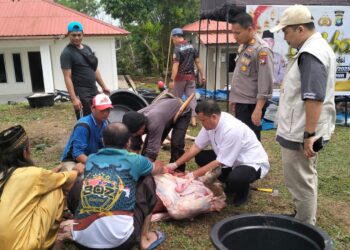 Polres Karimun Sembelih 15 Hewan Kurban, drh. Syauqi: Daging Yang Dibagikan Aman Dikonsumsi