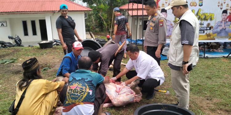 Polres Karimun Sembelih 15 Hewan Kurban, drh. Syauqi: Daging Yang Dibagikan Aman Dikonsumsi