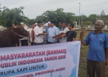 Bupati Serahkan Sapi Qurban Presiden Prabowo ke Panitia Masjid Agung Aceh Singkil
