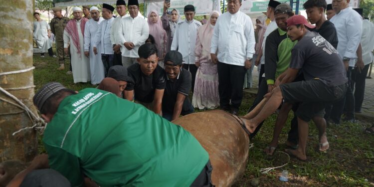 Hari Raya Idul Adha 1446 H. Pemkab Asahan Sembelih 111 Ekor Hewan Kurban
