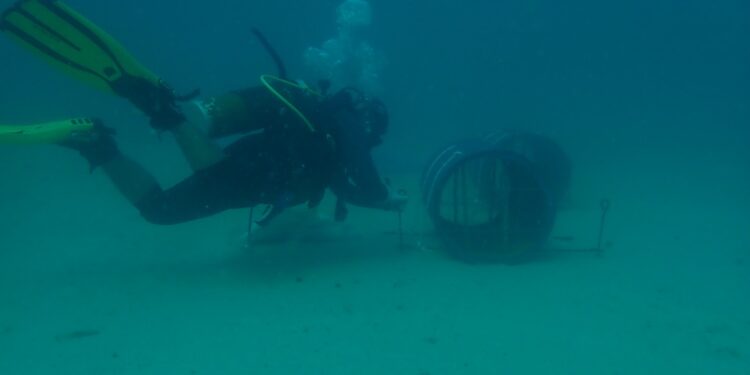 PT Timah Bersama Nelayan Tenggelamkan 36 Unit Atraktor Cumi di Perairan Buku Limau