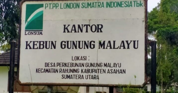 Oknum Perangkat Desa Sei Piring Curi Berondolan dan Bacok Security PT. Lonsum Gunung Melayu