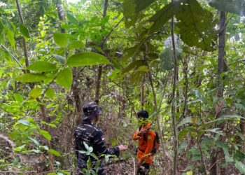 Mencari Gaharu, Tiga Warga Natuna Hilang di Bukit Bedung.