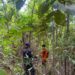 Mencari Gaharu, Tiga Warga Natuna Hilang di Bukit Bedung.