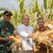 Denhanud 477 Kopasgat Panen Jagung di Natuna, Bukti TNI Ikut Jaga Ketahanan Pangan Nasional