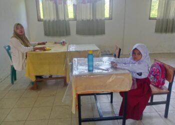 Miris ! SDN 010119 Aek Loba Pekan Miliki 1 Murid Kelas I dan 1 Murid Kelas II